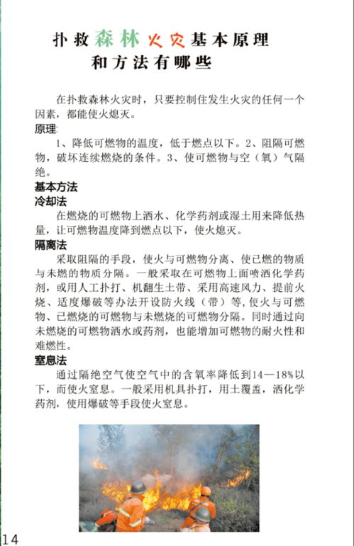 關(guān)于森林防火作文的好開(kāi)頭