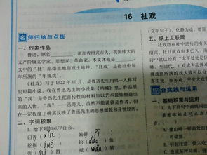 我與廉潔同行作文好開(kāi)頭