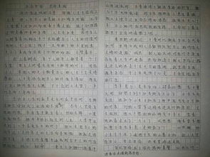 放大你優(yōu)點的作文開頭和結(jié)尾