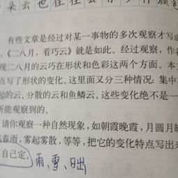 作文,描寫,開頭