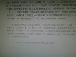 開頭描寫景的作文600字作文