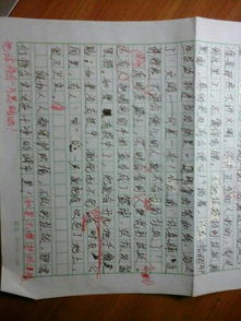 小學生五級第四單元600字作文開頭