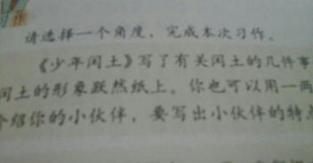 五級(jí)寫(xiě)人寫(xiě)物的作文開(kāi)頭結(jié)尾