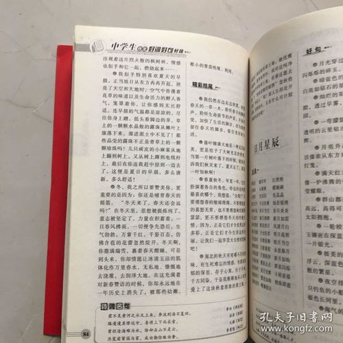 作文精彩開頭古詩