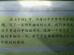 發(fā)現身邊的作文開頭