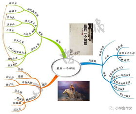 描寫外貌描寫外貌的作文開頭