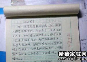 一次運動會500字作文開頭結(jié)尾