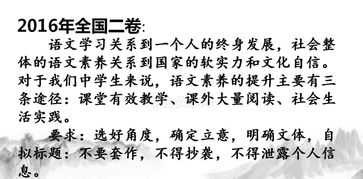 關(guān)于境界作文開頭素材