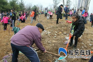 小學(xué)生植樹活動社會實踐報告(小學(xué)生植樹的活動方案)