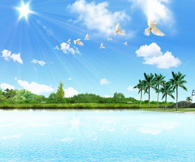 夏天的景物描寫作文開頭結(jié)尾