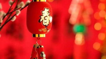 春節(jié)氣氛感悟作文開(kāi)頭