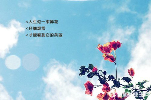 執(zhí)著而美麗作文開頭