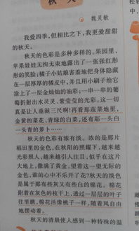 作文開頭擬人描寫秋天