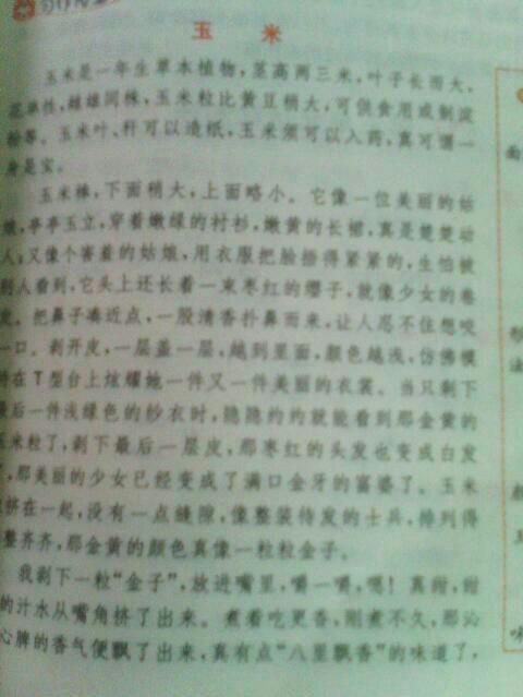 介紹一種東西作文(介紹一種東西作文寫物作文)