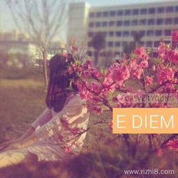 假如我是一朵花作文800字作文開(kāi)頭