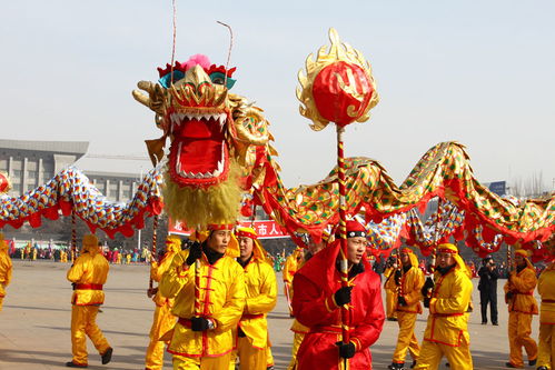 舞龍(舞龍)