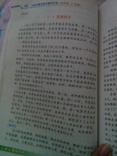 寫父母對自己的愛的作文開頭