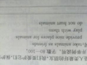 人與動(dòng)物英文小作文開(kāi)頭