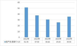投資效益的分析報告(提高投資效益作文)
