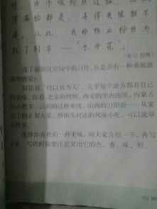 寫(xiě)一道美食的作文500字作文開(kāi)頭