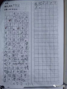 我和我的母親作文開頭