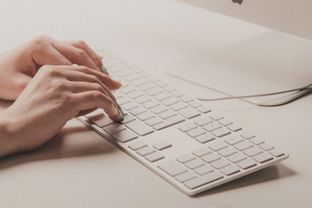 作文我的收獲開頭怎么寫