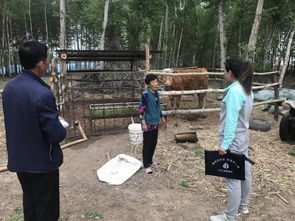 鄉(xiāng)村干部民情日記(年雙聯(lián)民情日記)