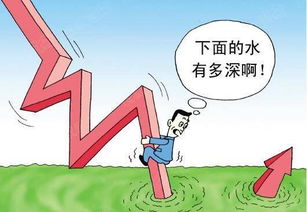 債券市場及其分類(話語信息及其分類)