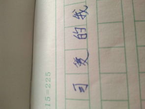 是你給了我愛作文開頭結(jié)尾怎么寫