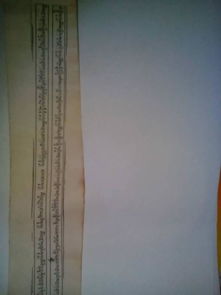 心靈的抉擇600字作文開頭