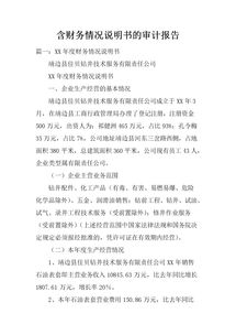 經(jīng)營情況審計報告范文(公司審計報告范文)