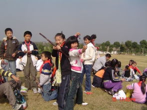 教育功利化的作文開頭