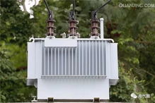 配電變壓器燒毀的原因及預(yù)防措施(振動電機燒毀的原因及其預(yù)防措施)