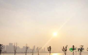 五級(jí)日出即景作文開頭