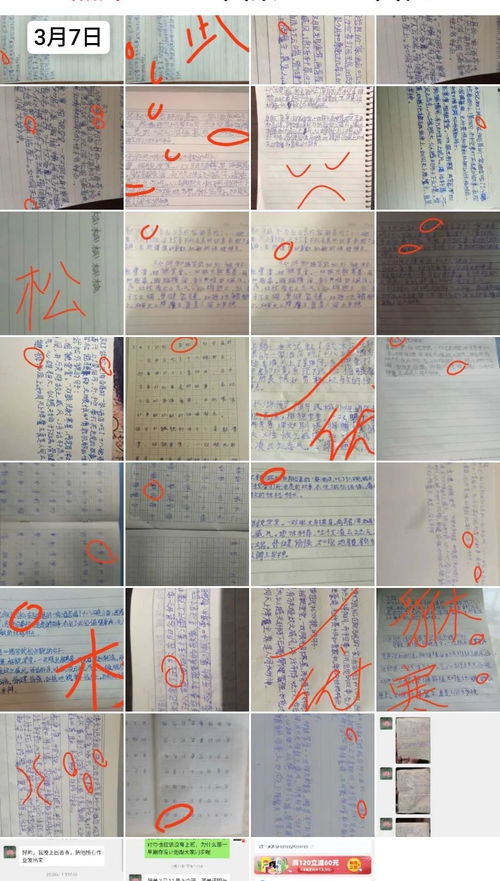 關于珍惜作文好開頭好結尾