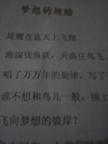 絕美作文開(kāi)頭夢(mèng)想