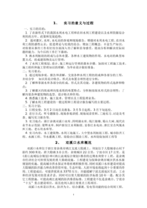 實踐報告過程(實踐報告的實踐過程)