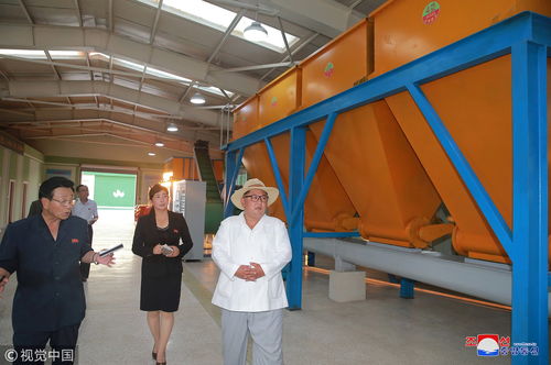 關于苗圃安全生產制度(園林苗圃安全生產制度)