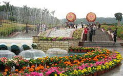 關(guān)于春天的作文300字開頭