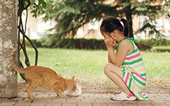 美好的心靈作文好開頭