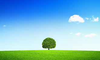 大自然交響曲作文開頭結(jié)尾