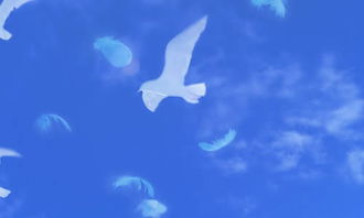 作文十六歲的天空開頭