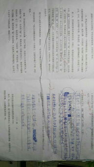 考完試以后作文開頭