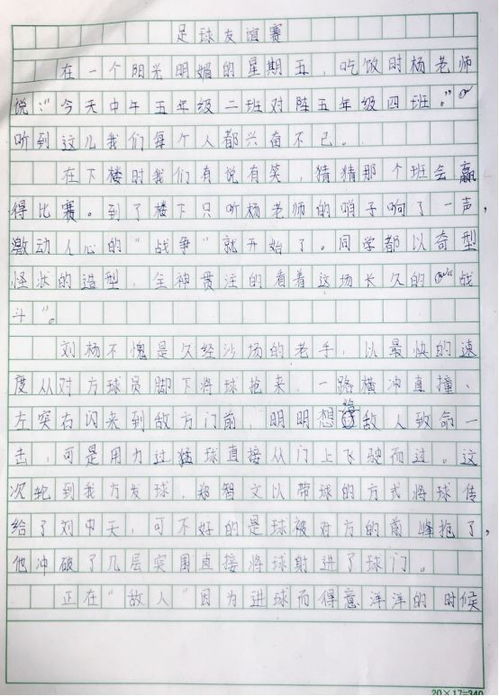 關(guān)于校園足球作文(關(guān)于校園足球作文600字精選)