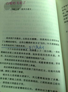 以設(shè)置懸念寫一篇作文開頭