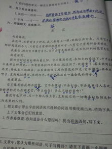 比喻開頭法的作文開頭,含有比喻的作文開頭,運(yùn)用比喻的作文開頭