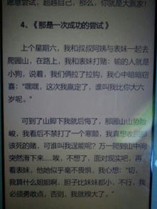 那是一次嘗試500字作文開頭結(jié)尾