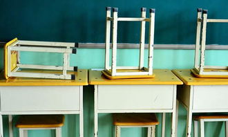 校園生活二三事作文開頭