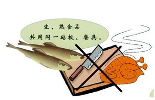 學(xué)校食物中毒的反思(學(xué)校師生食物中毒的應(yīng)急預(yù)案)