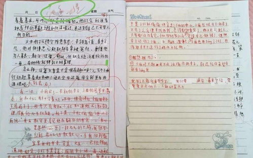 糖果作文好開(kāi)頭